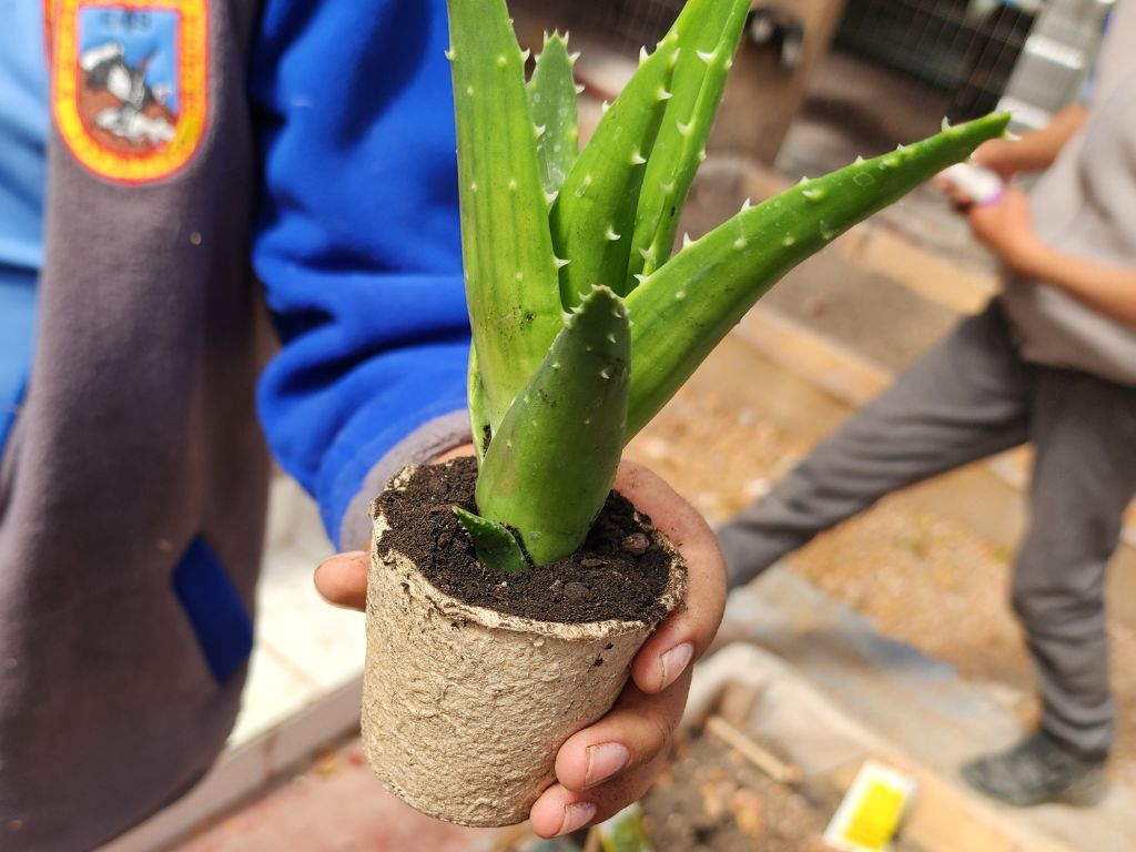 Educación Ambiental: Crear Conciencia por un Cambio Real